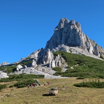 View to the mountain&amp;nbsp;Vordernberger Griesmauer from the 1699 meters high col&amp;nbsp;Hirscheggsattel&amp;nbsp;